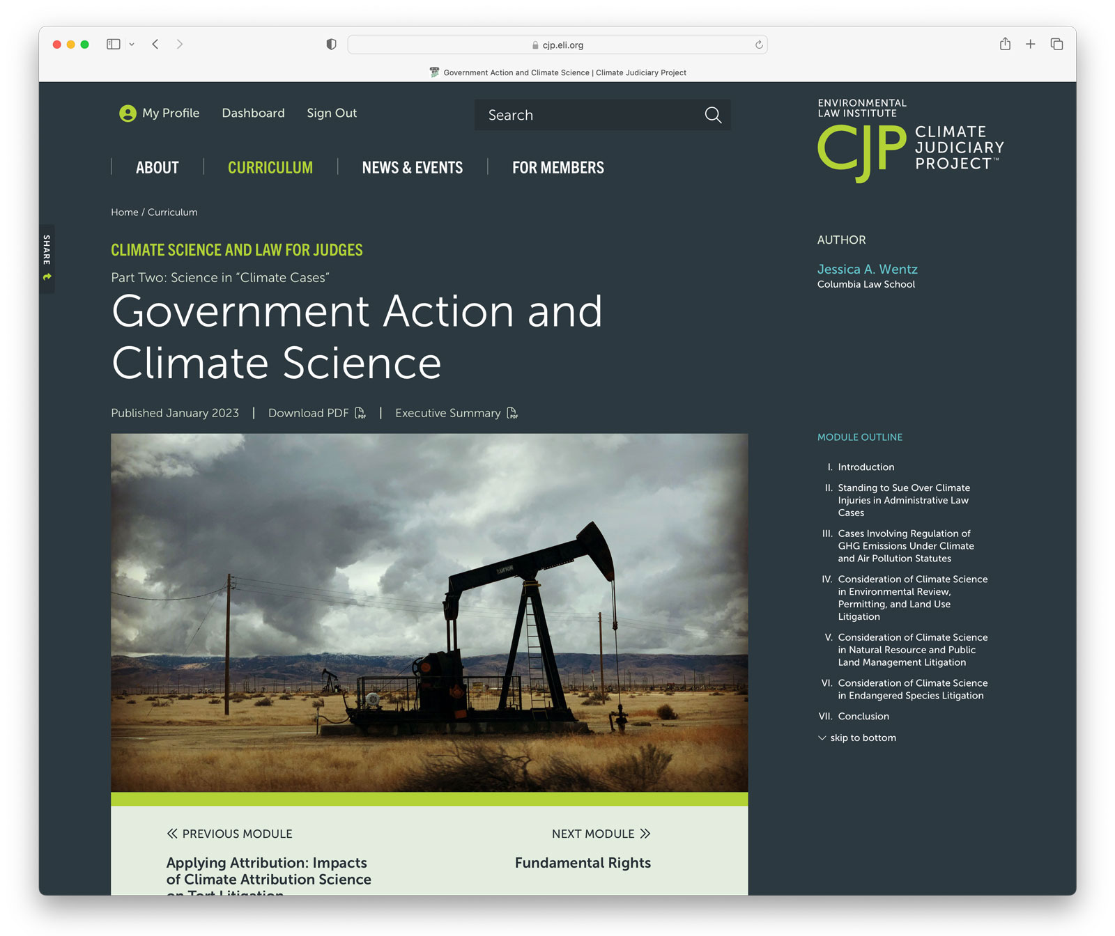 CJP Website screen for desktop