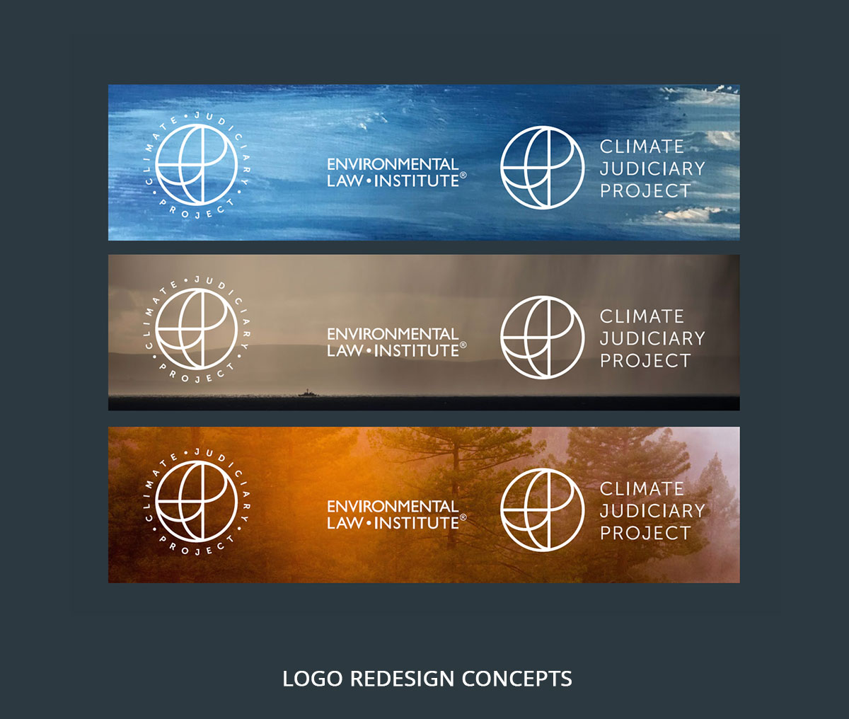 Project Logo Concepts