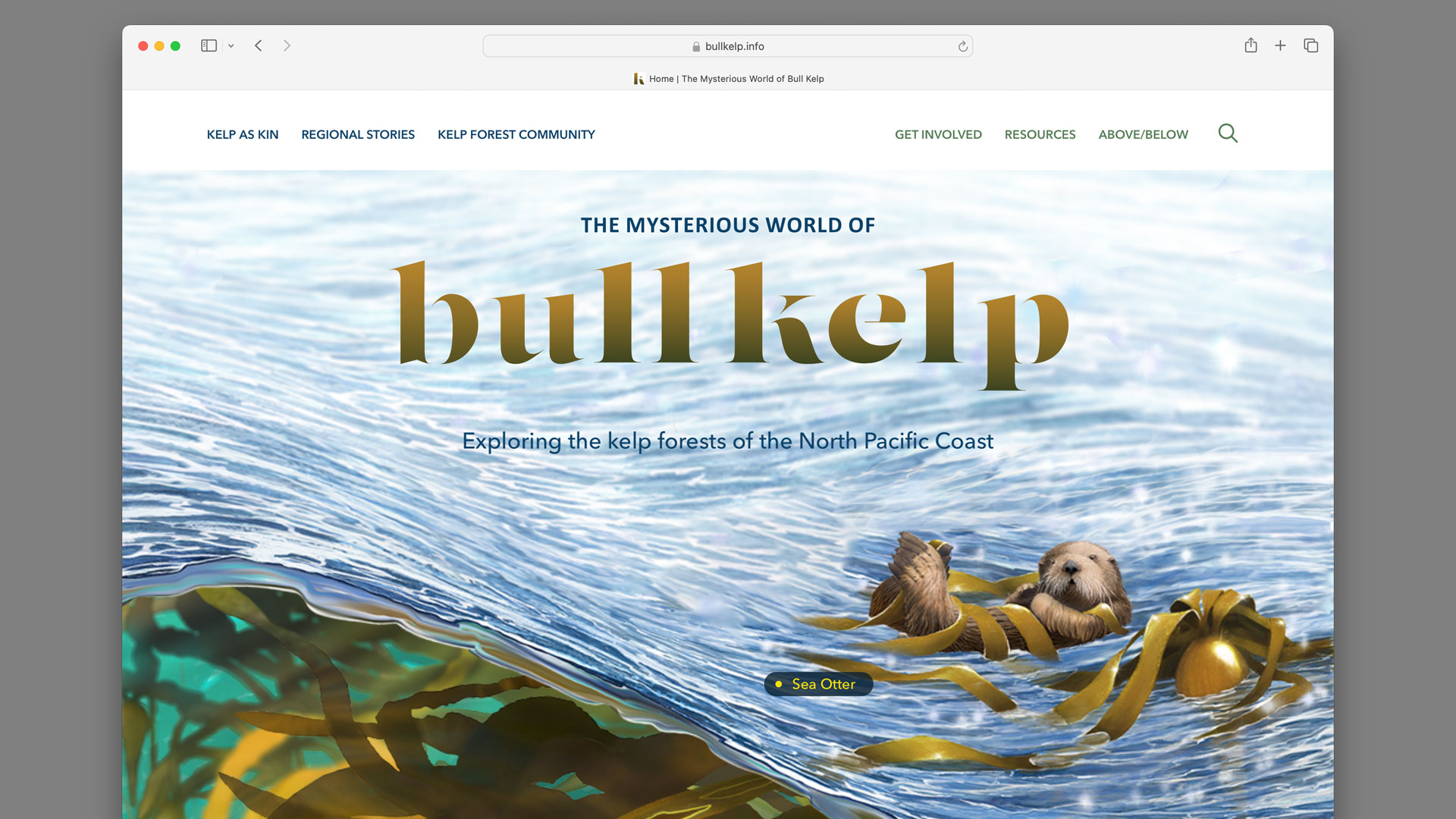Screen shot of home page of bullkelp.info website with project logotype and illustration of sea otter floating in waves above kelp forest.