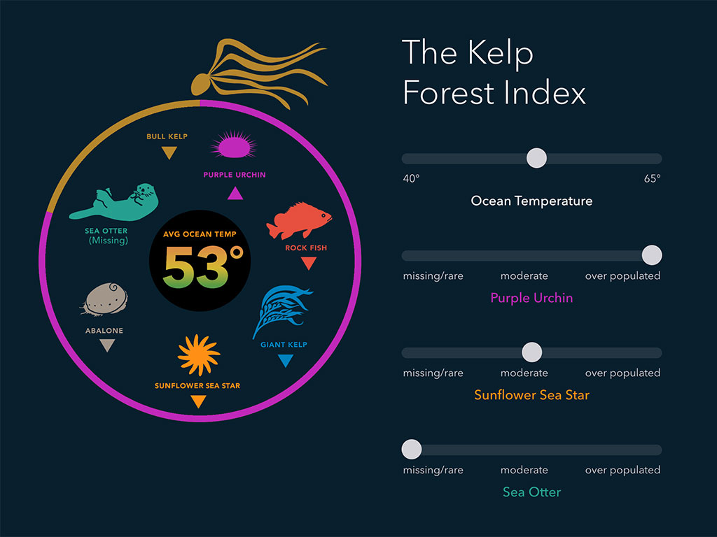 Screenshot of kelp forest index